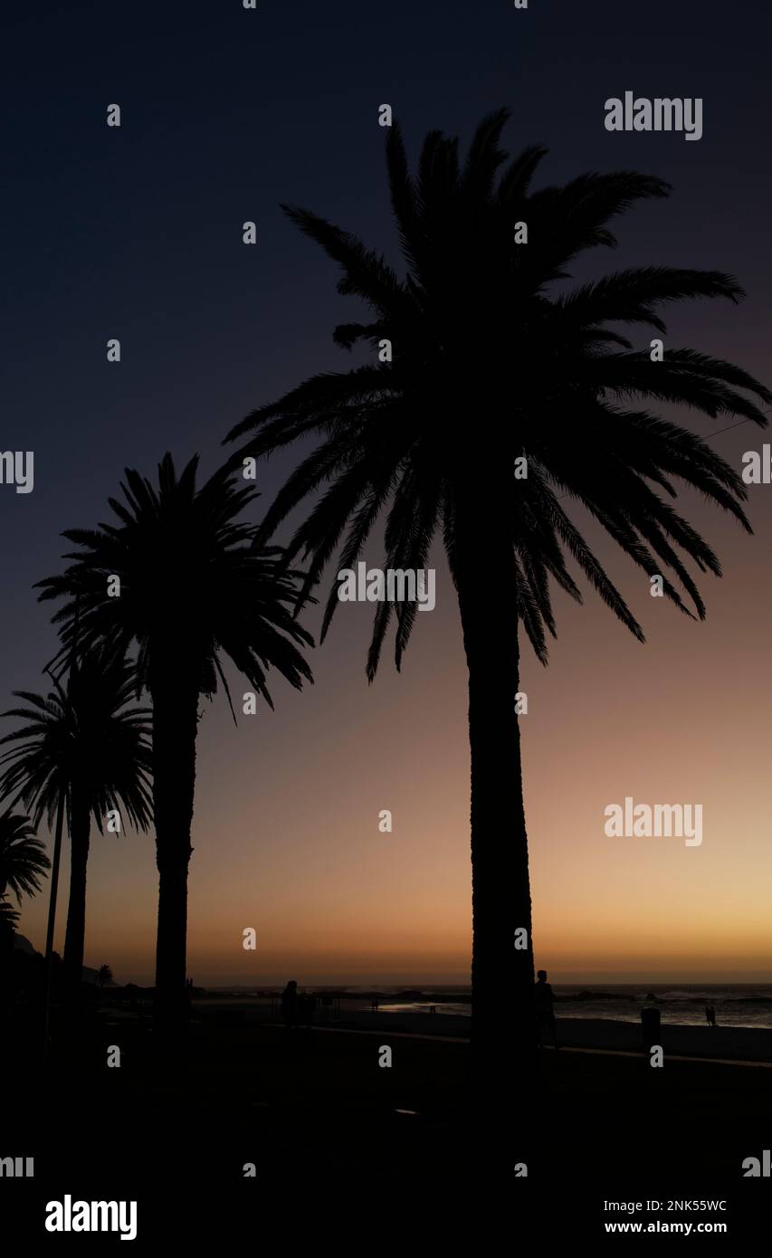 Camps Bay al tramonto, Sudafrica Foto Stock