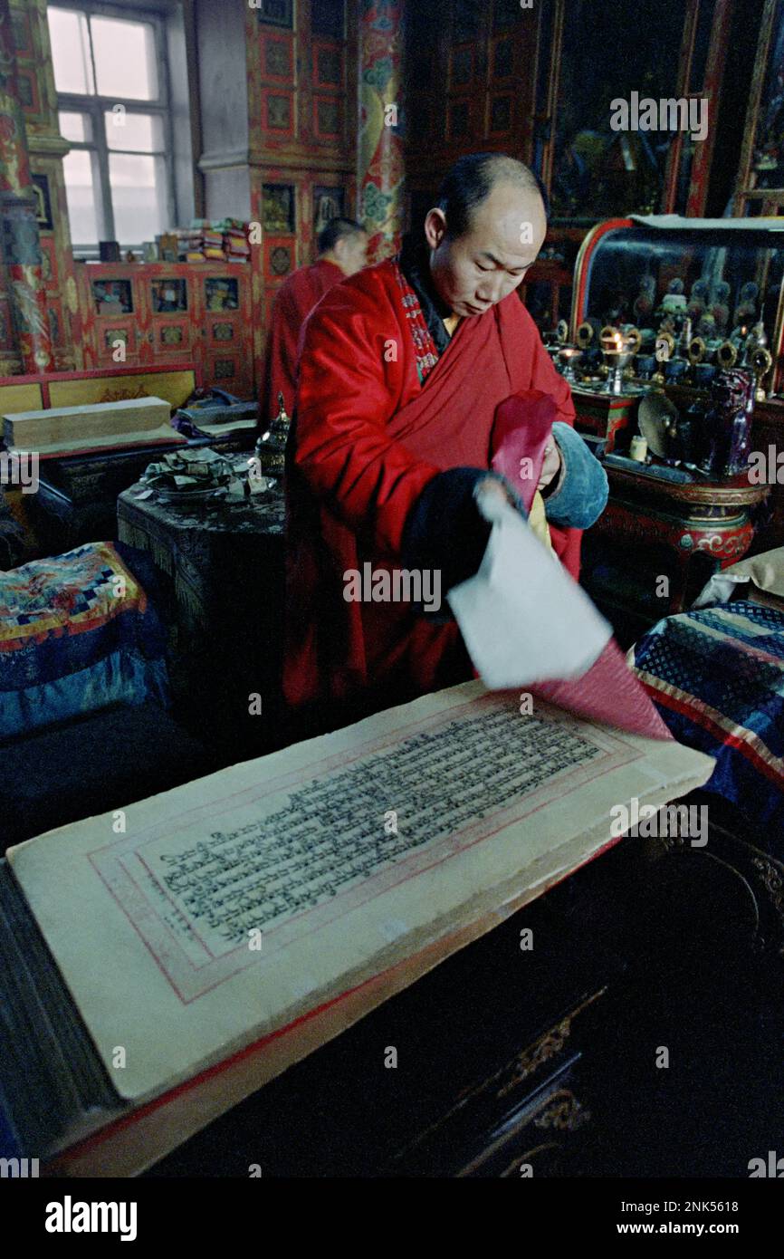 Ulaanbaatar, Mongolia. 26 gennaio 1990. Il lama buddista Baasan Dorligjav copre un Tripitaka all'interno del monastero di Gandan Tegchinlen, conosciuto anche come monastero di Gandan, gennaio 26,1990 a Ulaanbaatar, Mongolia. Baasan è anche un leader nella Foto Stock