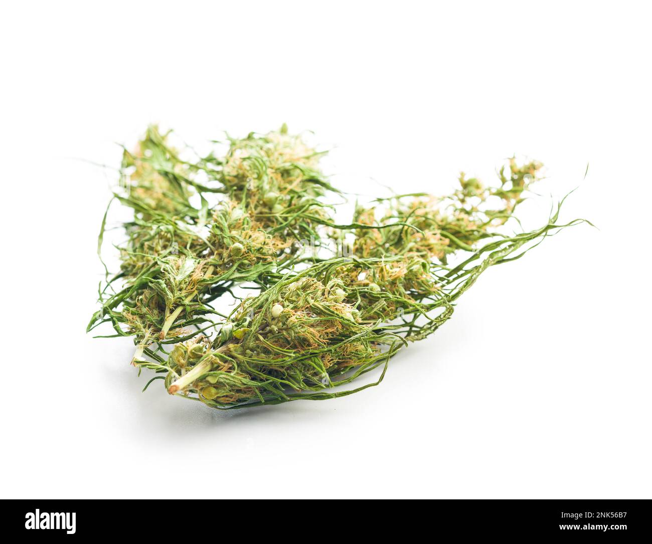 Germogli di cannabis essiccati. Marijuana secca isolata su sfondo bianco. Foto Stock