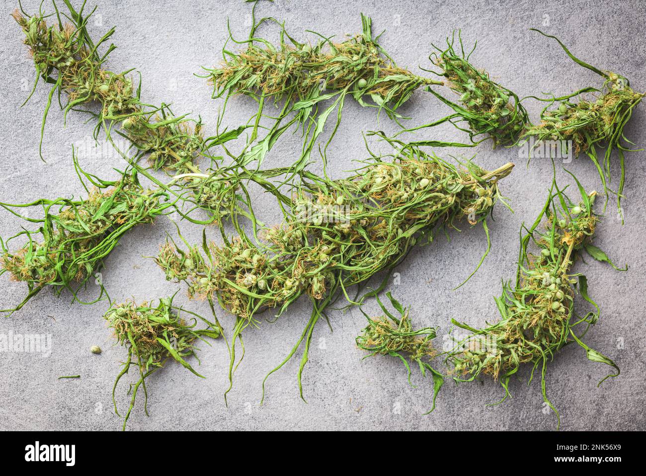 Germogli di cannabis essiccati. Marijuana secca sulla tavola grigia. Vista dall'alto. Foto Stock