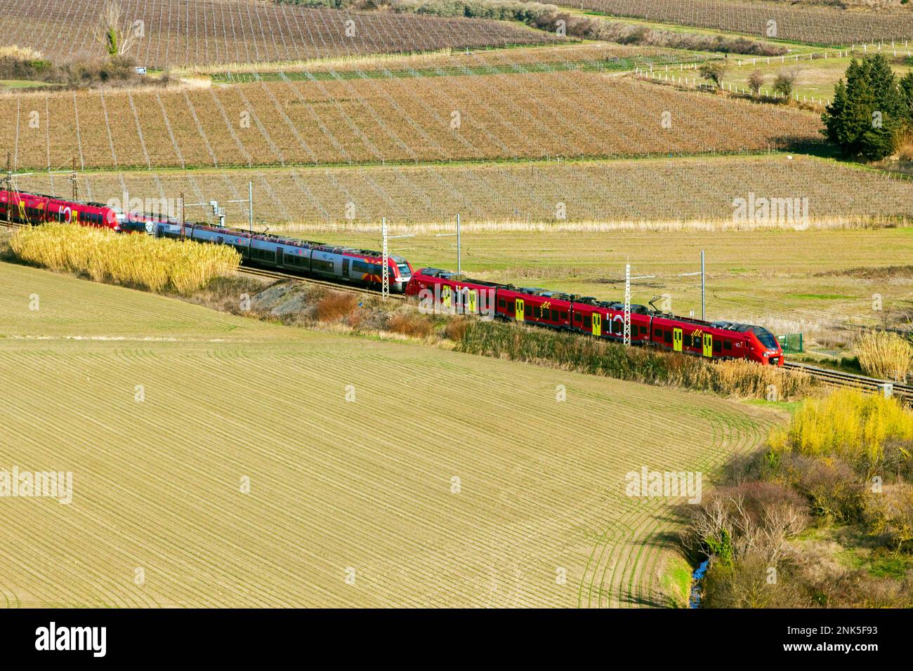 TER. Trasporto ferroviario di passeggeri tra Beziers e Narbonne. Occitanie, Francia Foto Stock