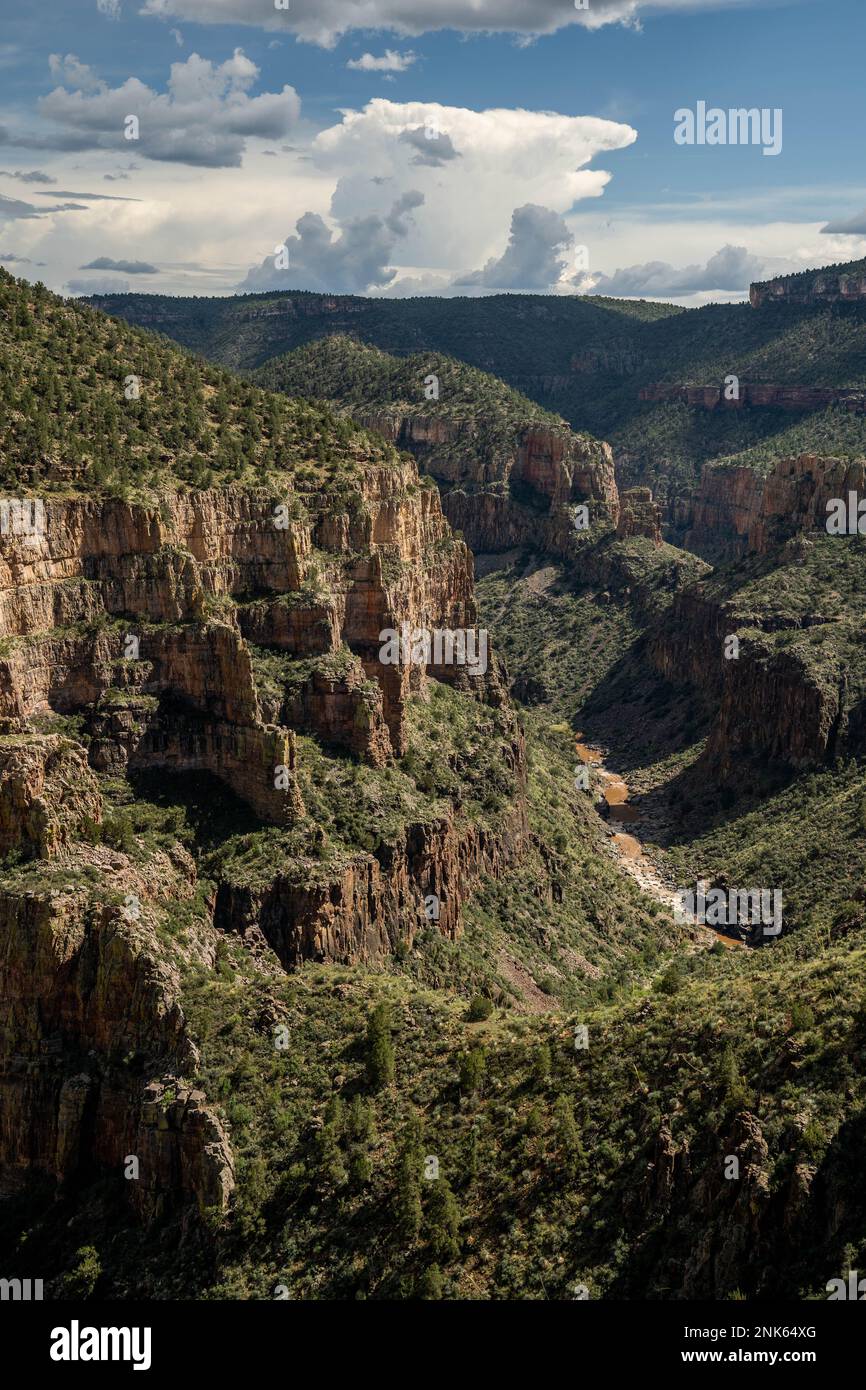 Salt River Canyon in Arizona, Stati Uniti Foto Stock