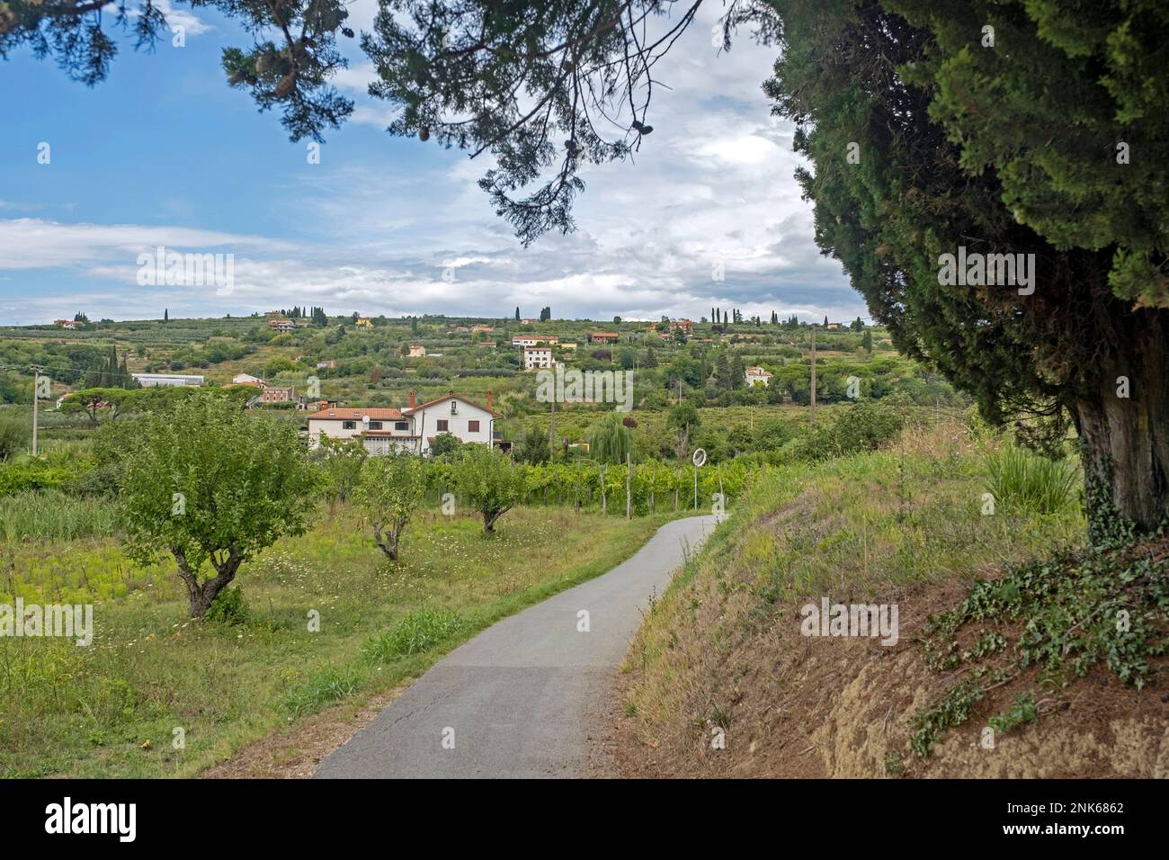 La pista ciclabile di Parenzana nella campagna slovena lungo la costa adriatica, la Slovenia va da Muggia, Italia, a Poreč, Croazia Foto Stock