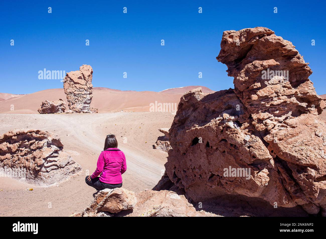 Formazioni di roccia vulcanica, bomba piroclastici, vicino Salar de Aguas Calientes, Altiplano, Puna, il deserto di Atacama. Region de Antofagasta. Cile Foto Stock