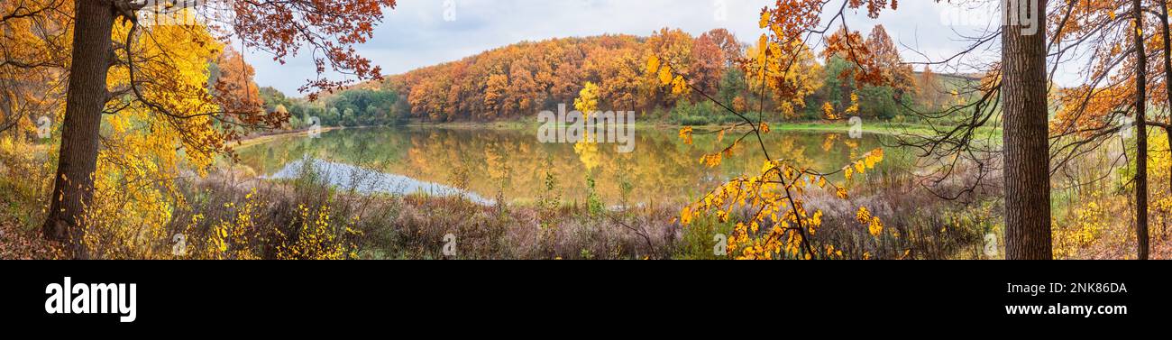 Paesaggio autunnale - la foresta sul lago nella soleggiata giornata autunnale, panorama, banner Foto Stock