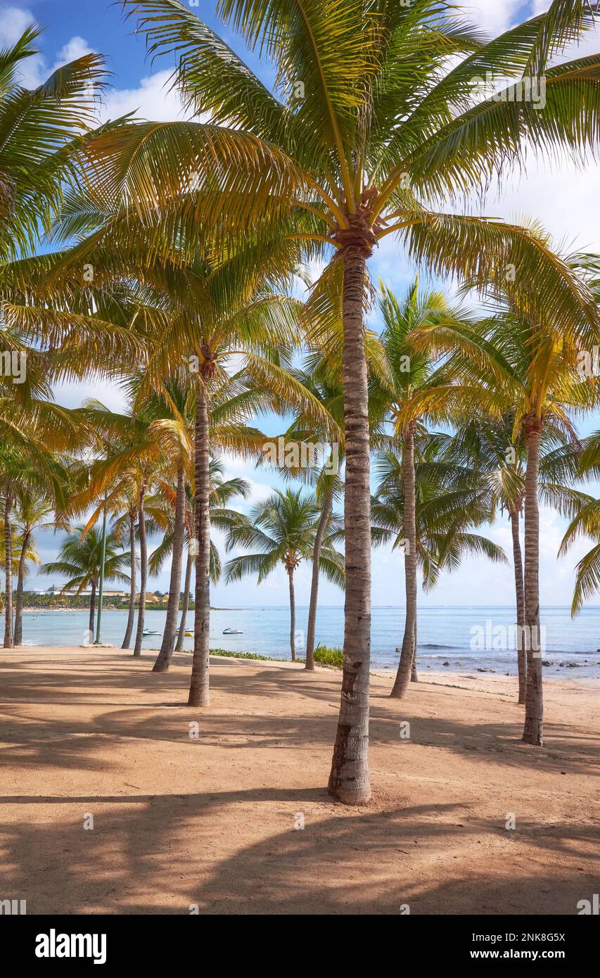 Foto di una spiaggia tropicale caraibica, concetto di vacanza estiva. Foto Stock