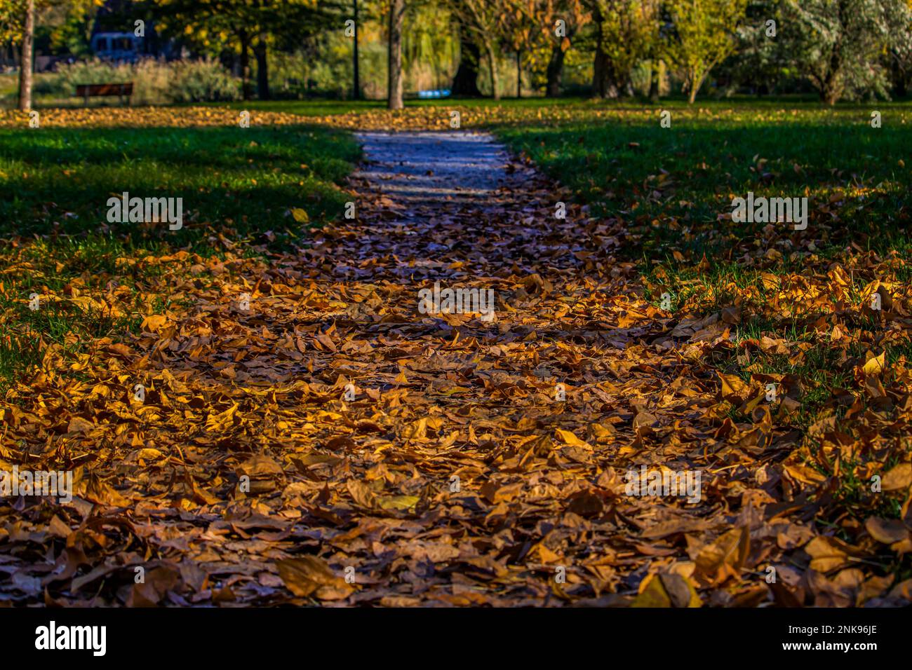 Palo del sentiero immagini e fotografie stock ad alta risoluzione - Alamy