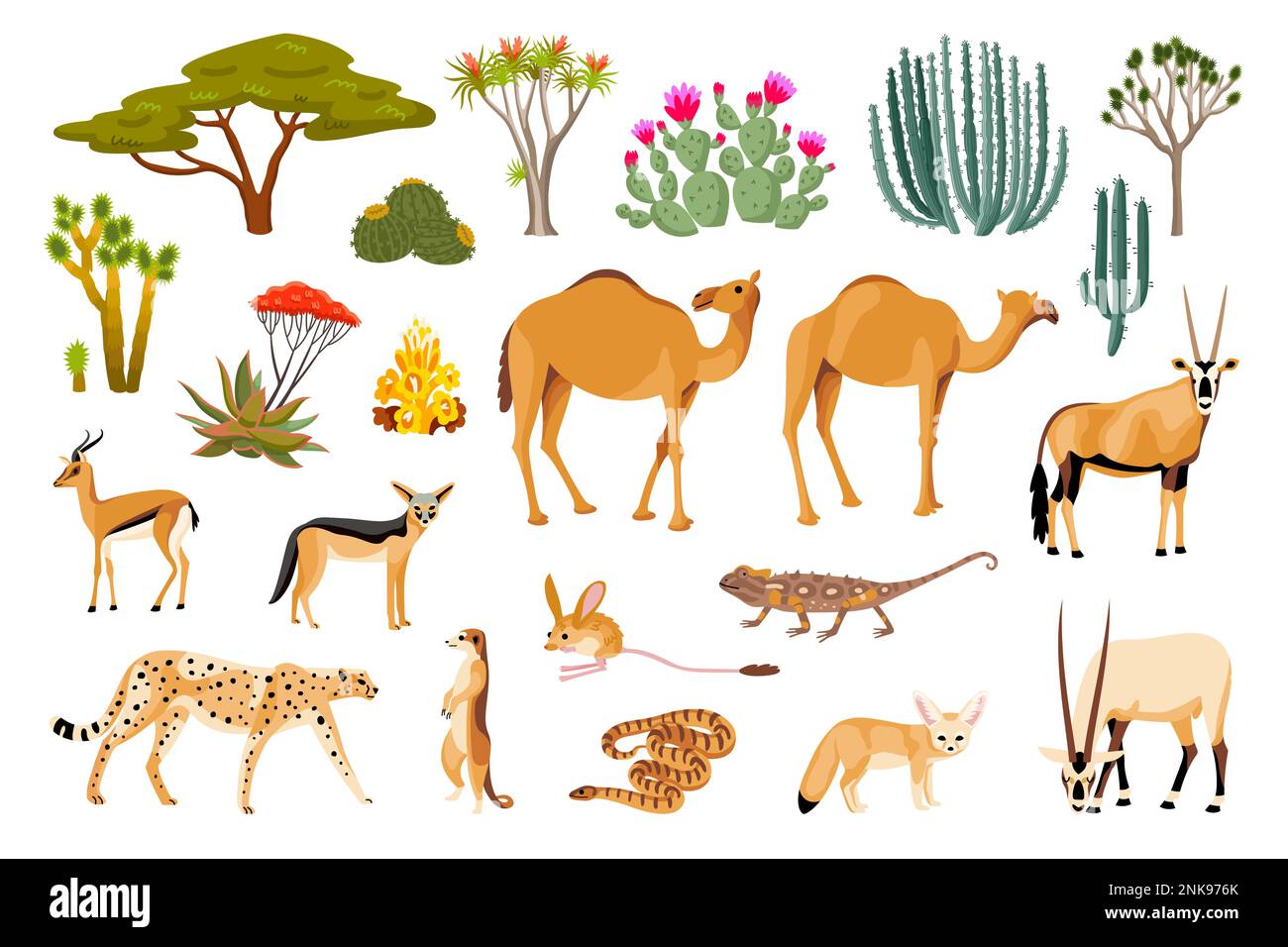 Deserto flora e fauna cartoon set di rettile cammello leopardo serpente capra jackal cactus isolato vettore illustrazione Illustrazione Vettoriale