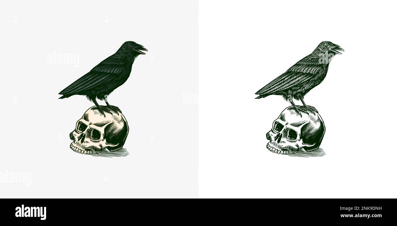 Magic Crow si siede su un cranio. Schizzo Raven. Incisione vintage elemento mistico in stile boho. Profilo di Doodle. Disegno a mano occulto esoterico. Vettore Illustrazione Vettoriale