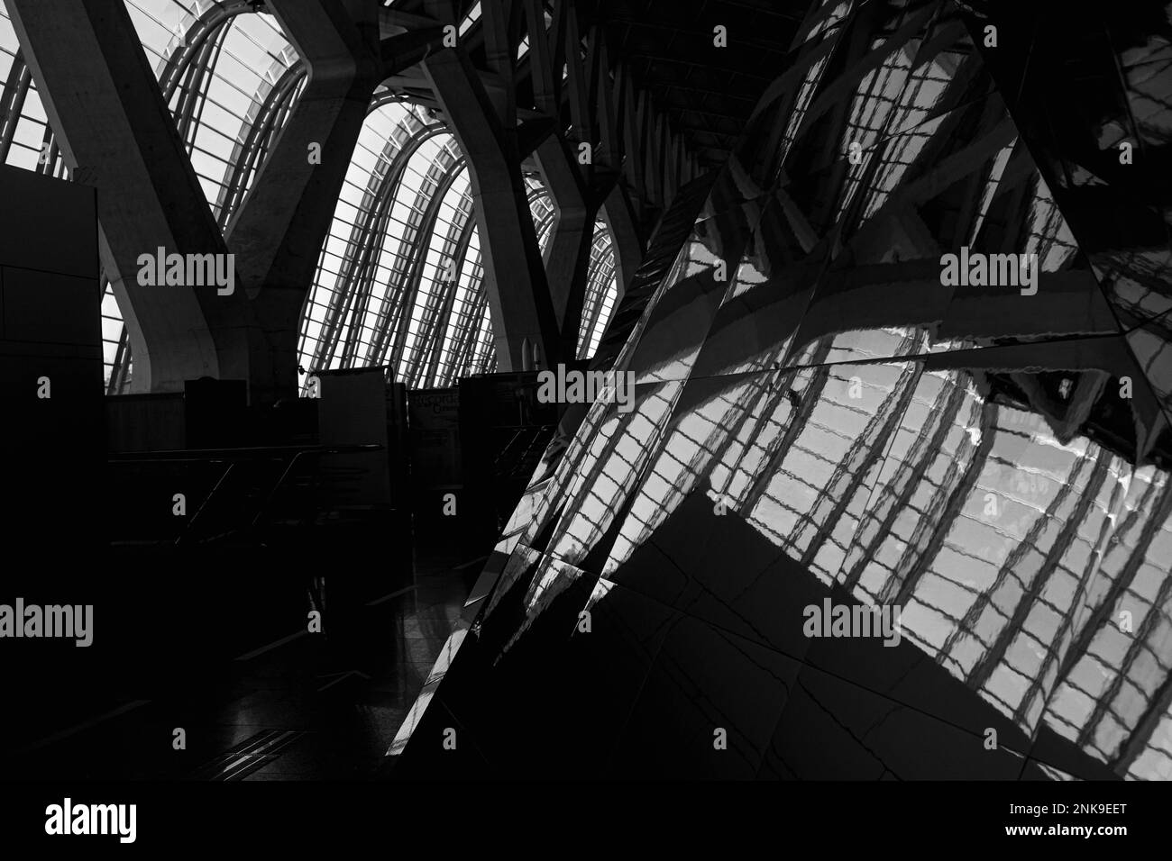 Vista dall'interno del moderno edificio dell'architettura delle arti e delle scienze di Valencia, Spagna. Foto Stock