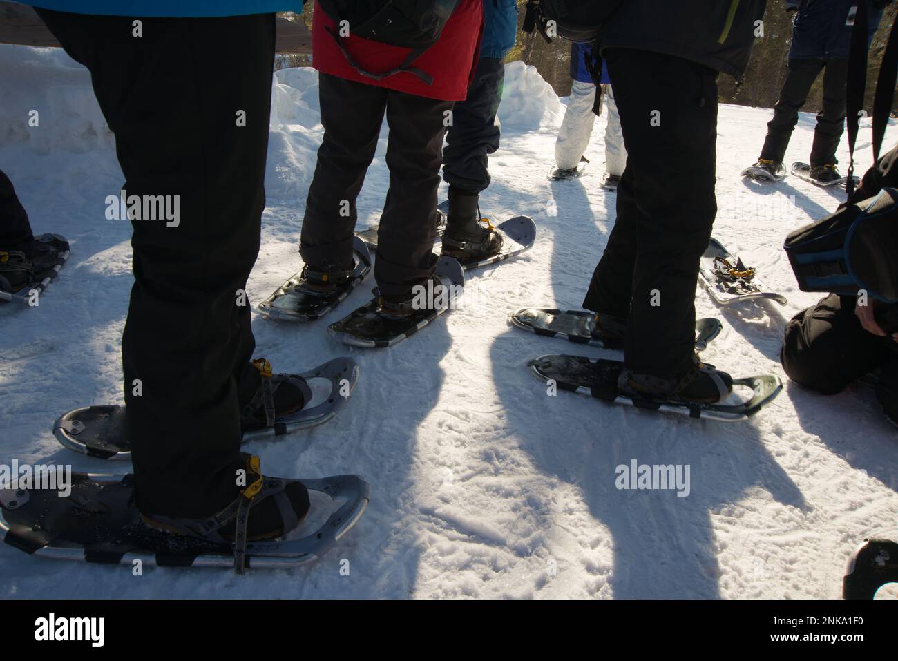 Gruppo irriconoscibile di persone con racchette da neve per una passeggiata. Lapponia Foto Stock