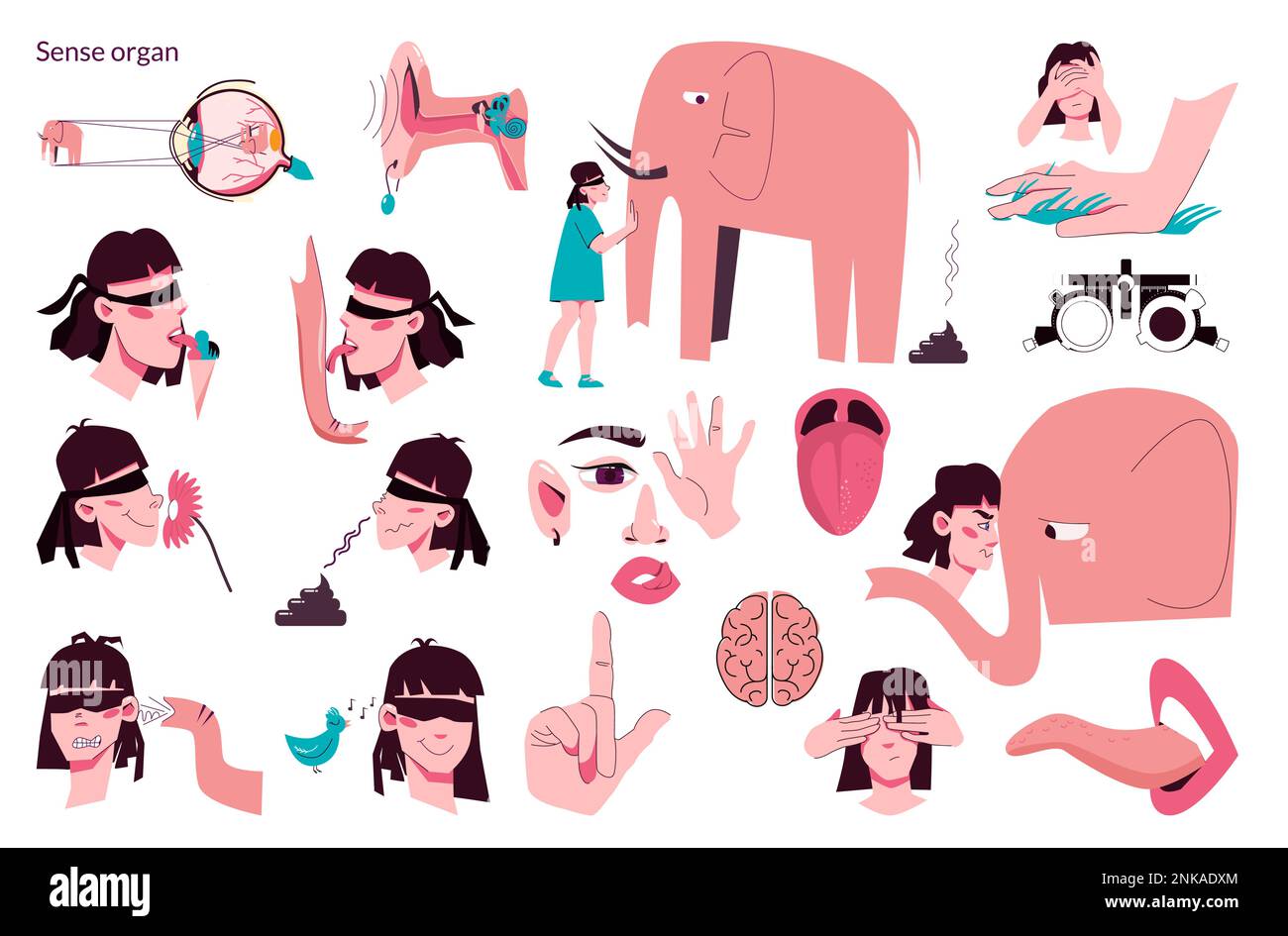 Sense organan people flat icon set umano sensi sentire odore composizione del gusto con esempi di gelateria elefante vettore illustrazione Illustrazione Vettoriale