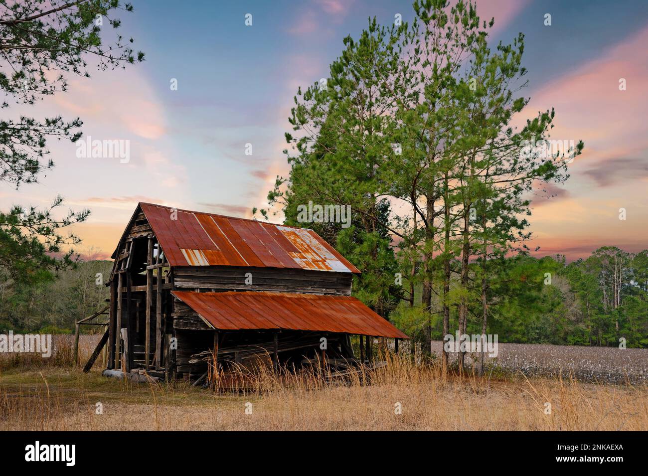 Un vecchio abbandonato scendono fienile in un campo al tramonto Foto Stock