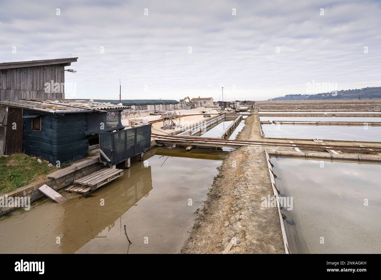 Vista panoramica invernale delle piscine marine nella Salina di Secovlje, Slovenia Foto Stock