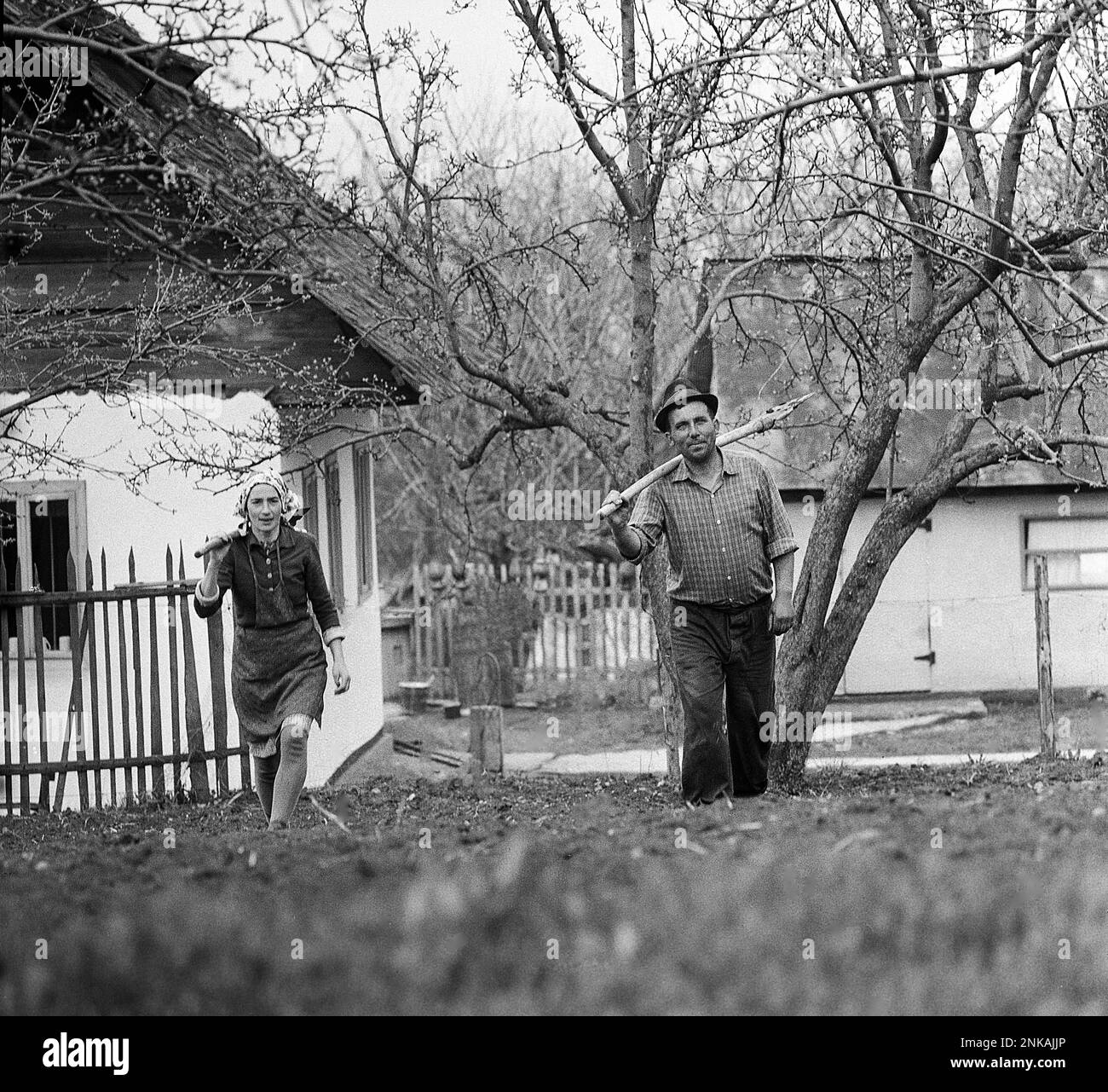 Contea di Suceava, Repubblica socialista di Romania, circa 1980. Persone in campagna sulla strada per le loro attività agricole quotidiane. Foto Stock