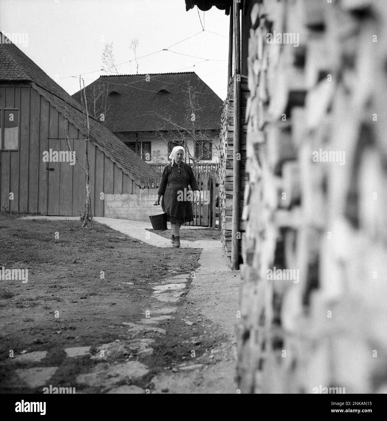 Contea di Suceava, Repubblica socialista di Romania, circa 1980. Donna occupata con le faccende quotidiane sulla sua proprietà rurale, camminando dal mucchio grande di legna impilata. Foto Stock