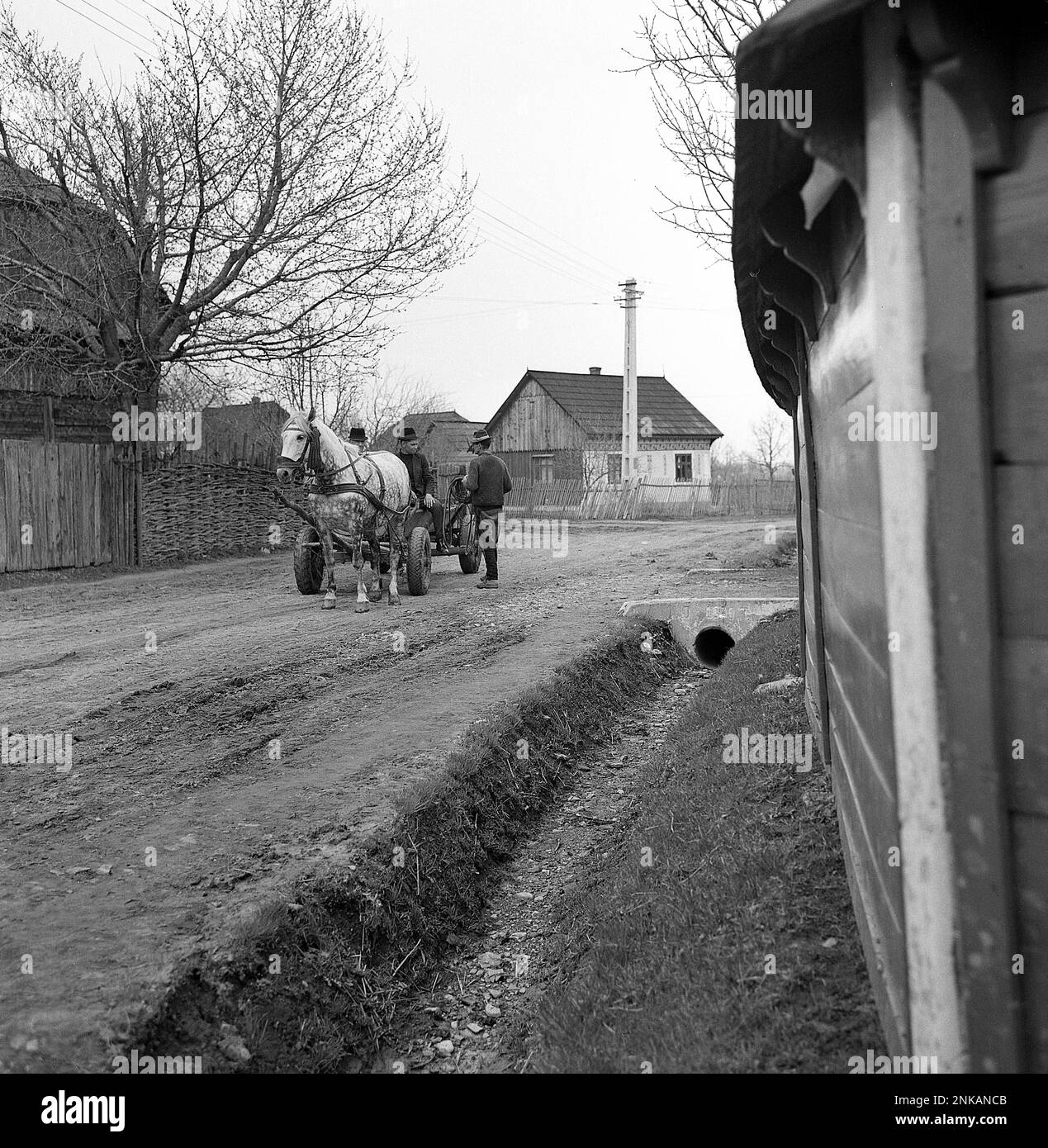 Contea di Suceava, Repubblica socialista di Romania, circa 1980. Gente del posto su un carro trainato da cavalli su una fangosa strada non asfaltata del villaggio. Foto Stock