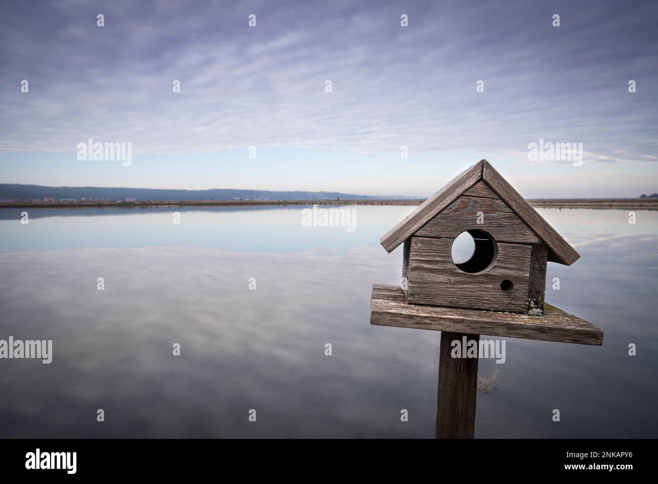 il birdhouse in legno nella laguna Foto Stock