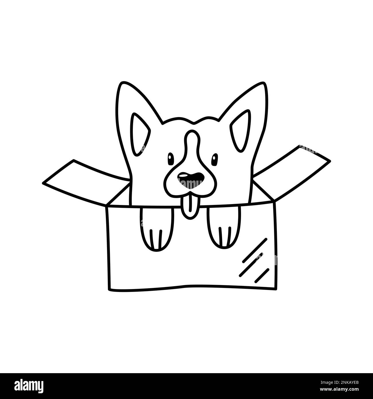 Piccolo cane corgi in una scatola di cartone. Illustrazione lineare di un animale domestico. Elemento di design carino per rifugi animali. Illustrazione Vettoriale