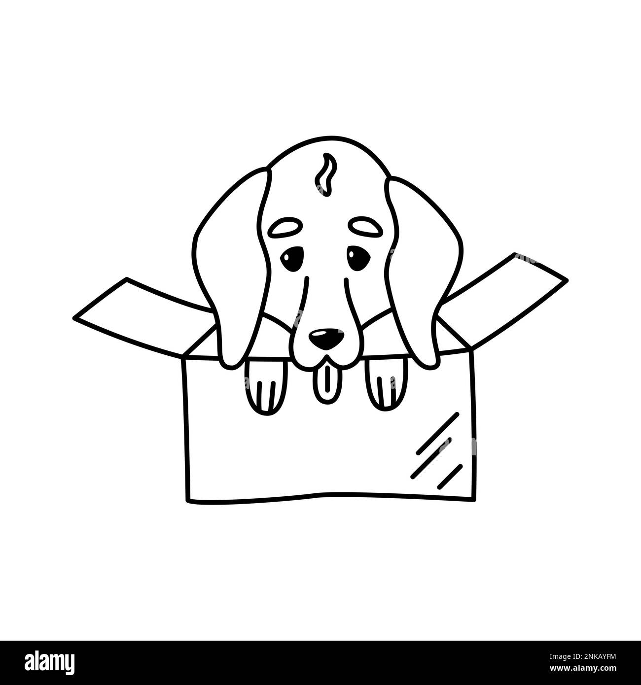 Piccolo cane dachshund in una scatola di cartone. Illustrazione lineare di un animale domestico. Elemento di design carino per rifugi animali Illustrazione Vettoriale