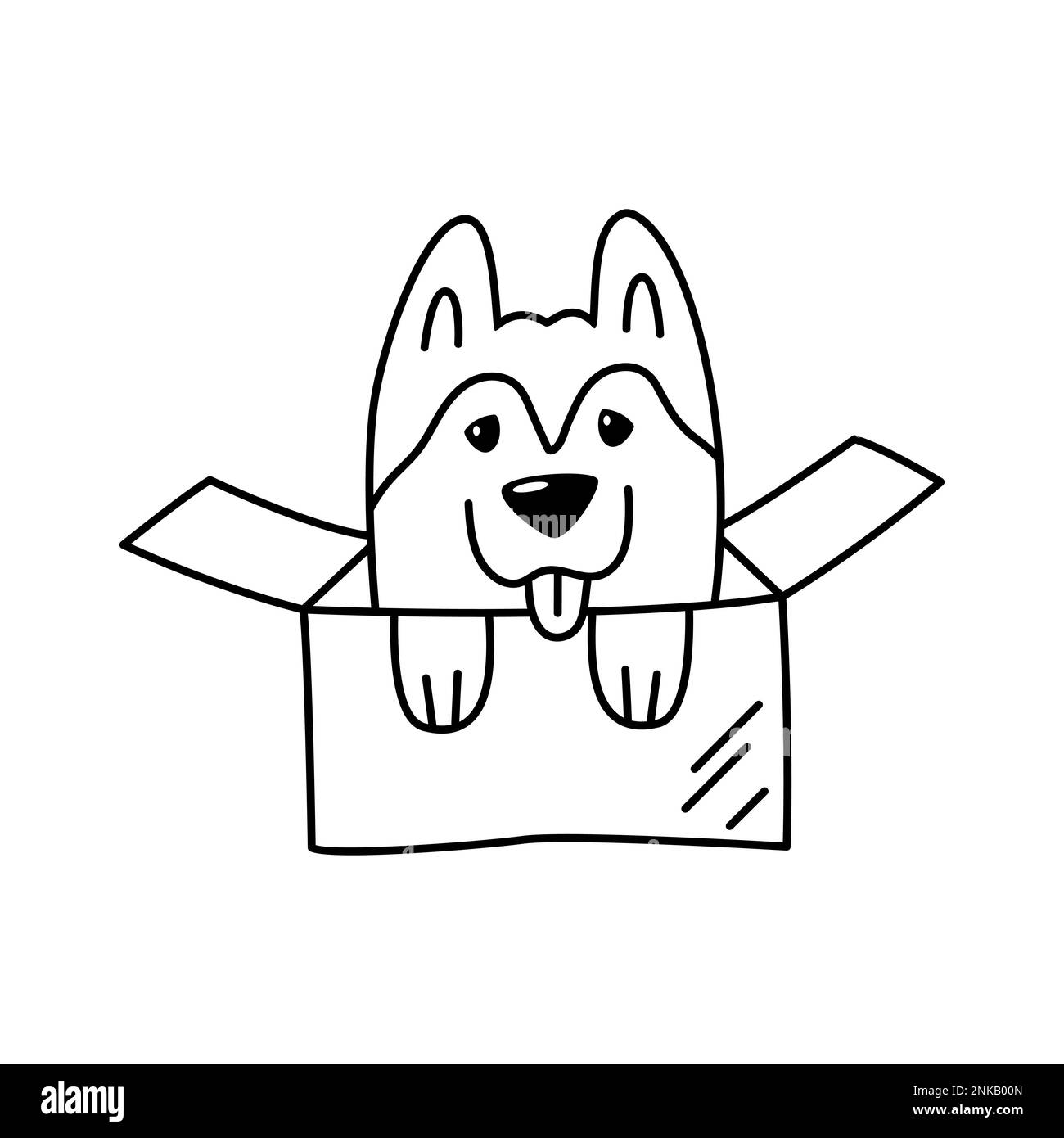 Piccolo cane Husky in una scatola di cartone. Illustrazione lineare di un animale domestico. Elemento di design carino per rifugi animali Illustrazione Vettoriale