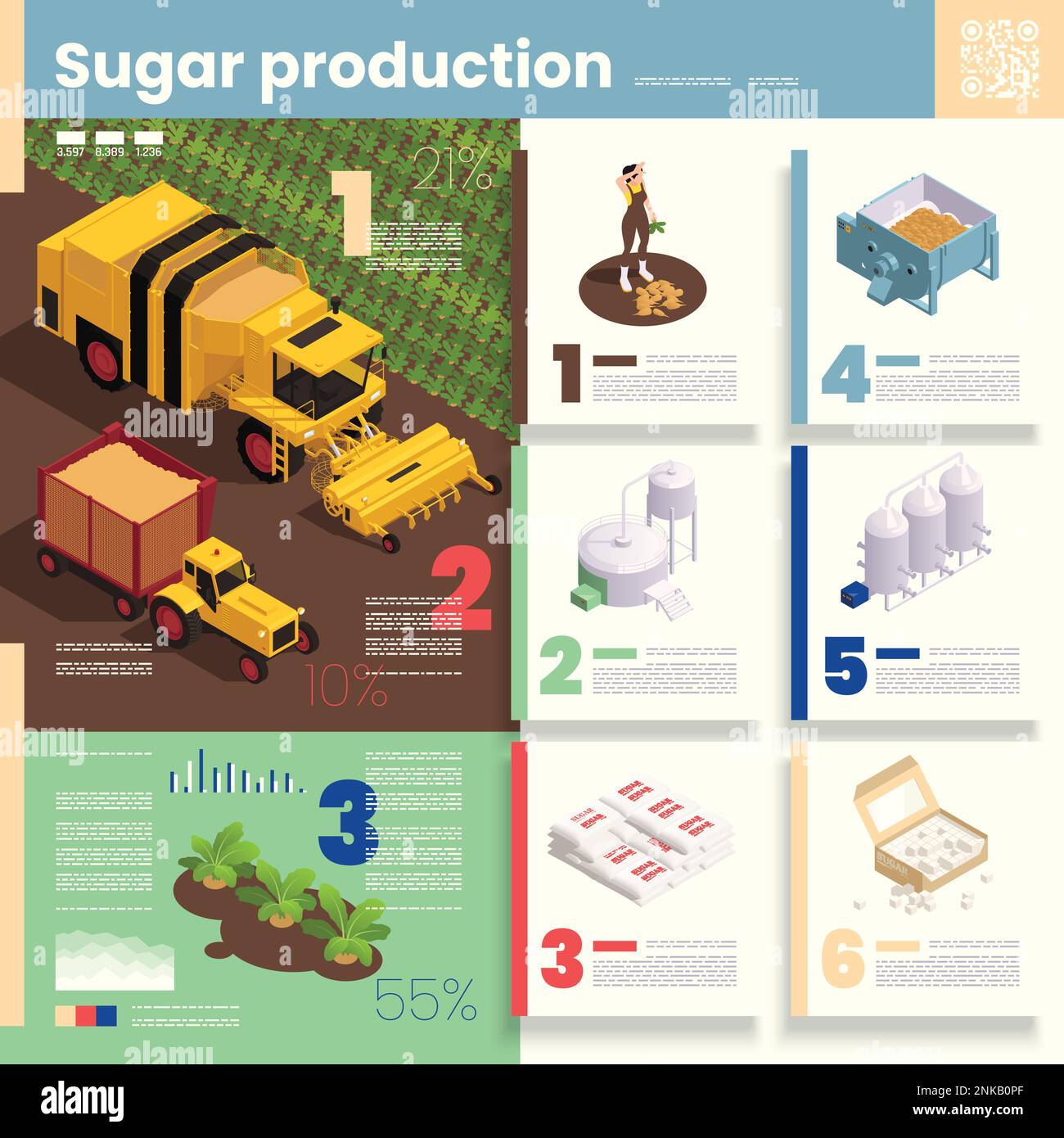 Infografica sulla produzione di zucchero illustrazione che illustra il processo di raccolta della barbabietola e le fasi di fabbricazione del vettore isometrico del prodotto finito illustrati Illustrazione Vettoriale