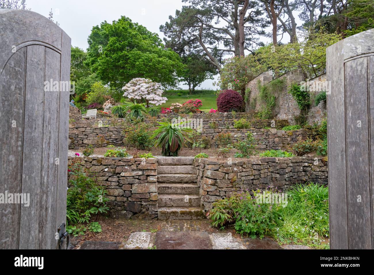 Guardando in su attraverso la coppia di porte di legno aperte in un giardino di campagna inglese delicatamente risingente con pentole e terrazze Foto Stock