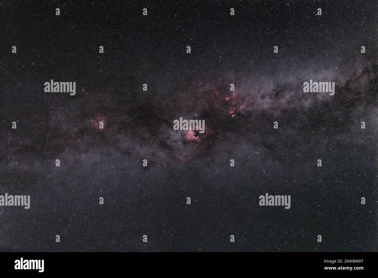 La Via Lattea, la costellazione di Cigno e le nebulose: La Nebula della Trunk dell'Elefante, la Nebula del Nord America, la farfalla (dintorni di Sadr) e il complesso di Veil Foto Stock