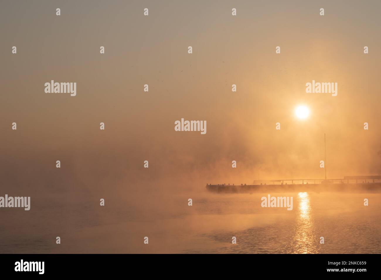Alba invernale sulla laguna. Bella alba con nebbia in aumento. Rybnik, Polonia, Europa Foto Stock