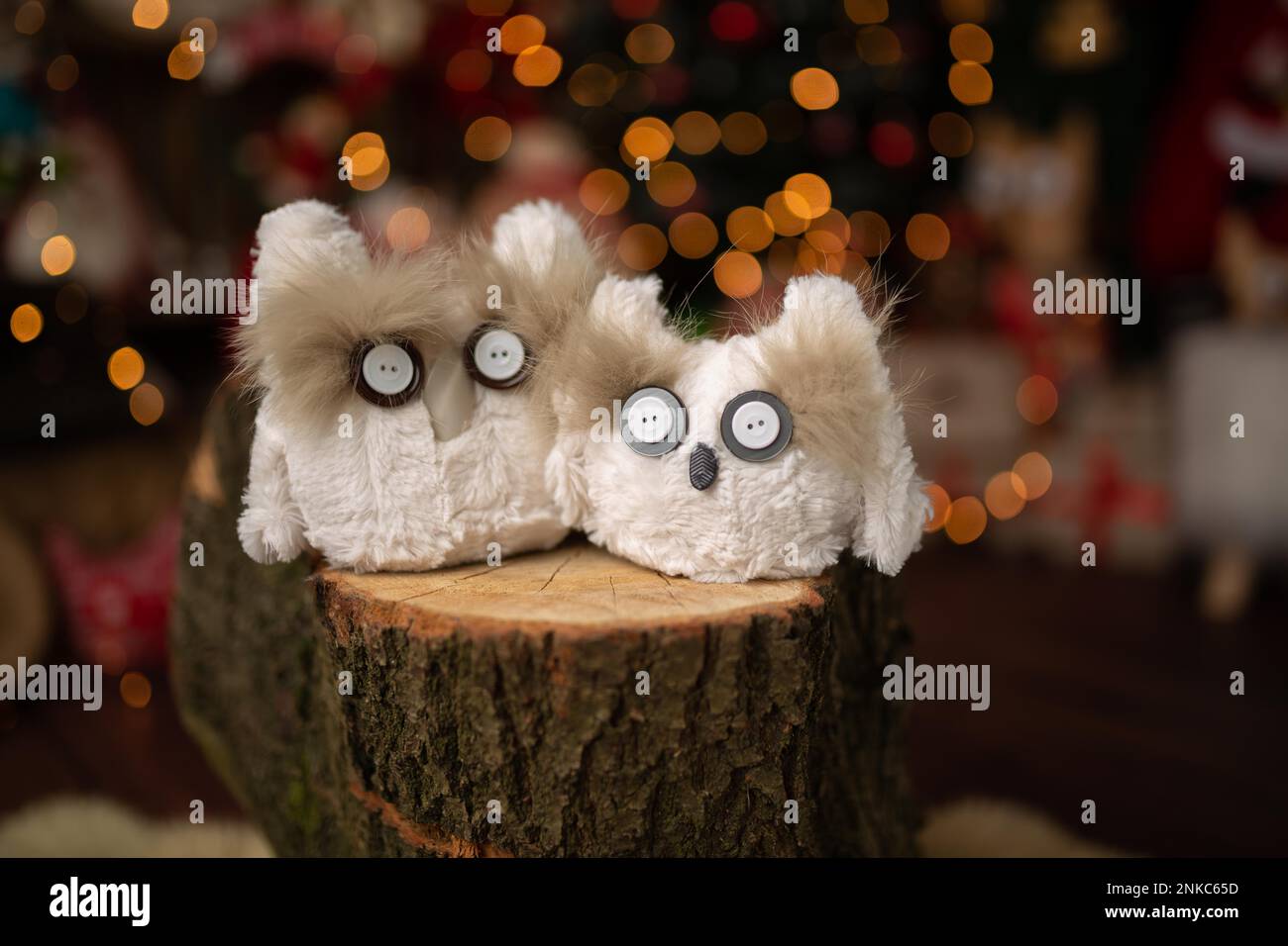 Scena natalizia con un bel bokeh sullo sfondo e gufi di peluche. In sudio Foto Stock