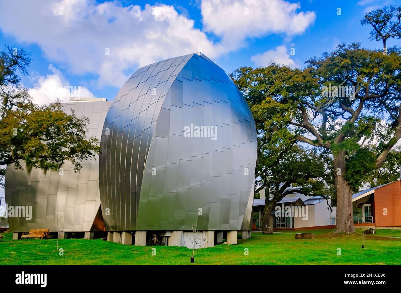 Quattro baccelli in acciaio inossidabile progettati dall'architetto Frank Gehry sono raffigurati al Museo d'Arte OHR-o'Keefe, 22 febbraio 2023, a Biloxi, Mississippi. Foto Stock