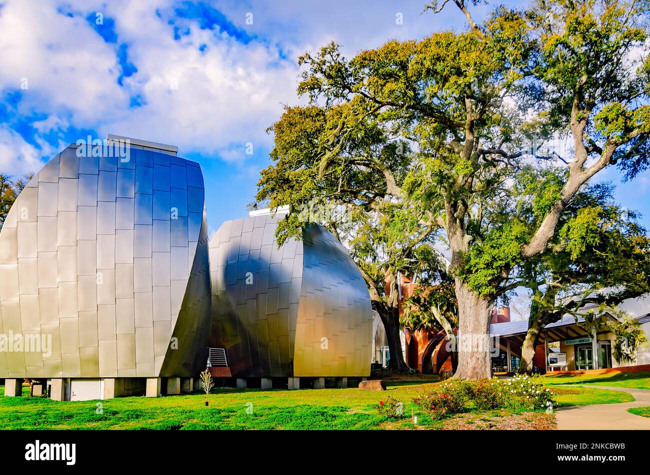 Il Museo d'Arte OHR-o'Keefe, progettato dall'architetto Frank Gehry, è raffigurato il 22 febbraio 2023 a Biloxi, Mississippi. Foto Stock