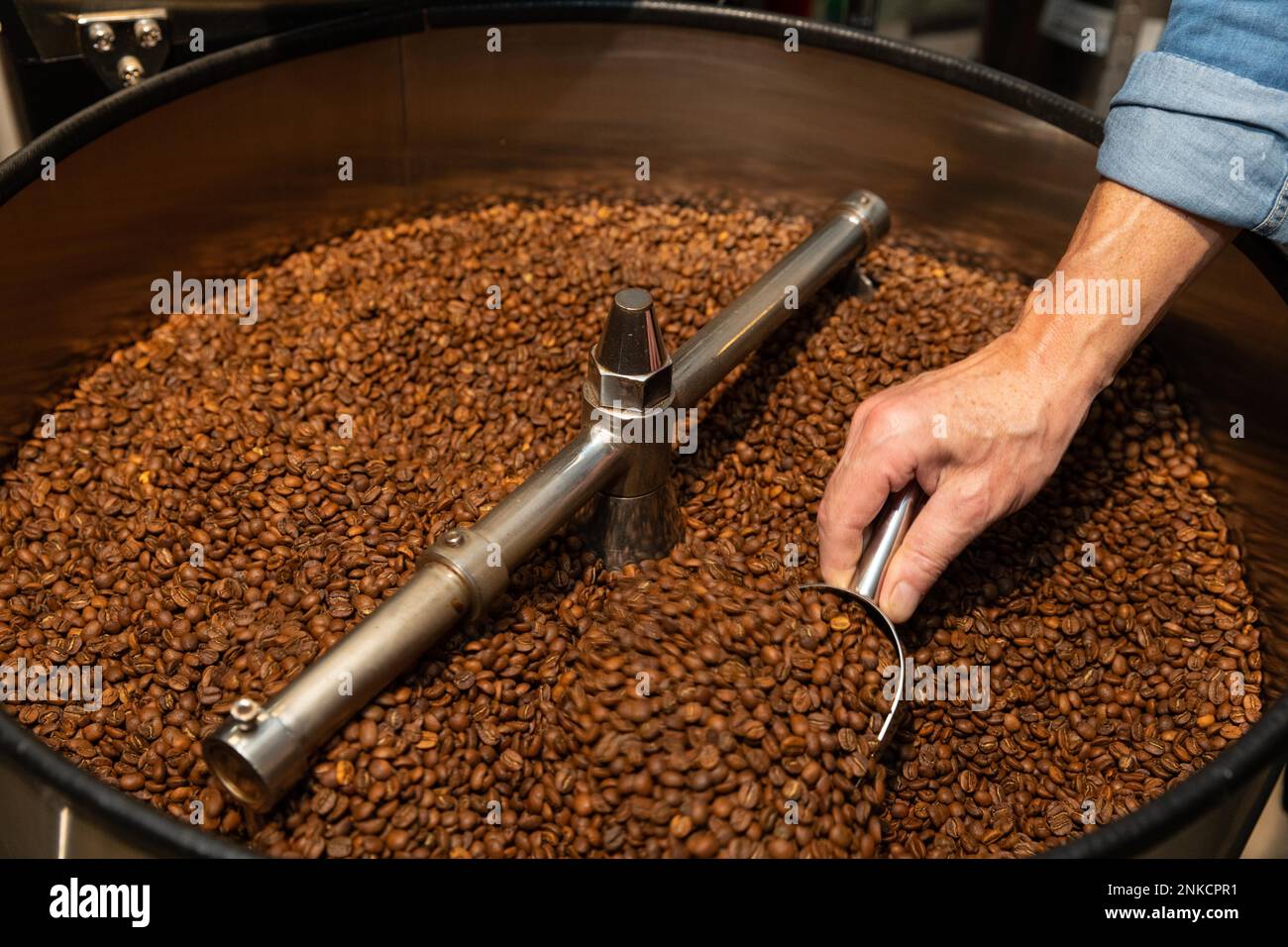 Il caffè torrefatto viene controllato per verificare la presenza di residui, caldaia di raffreddamento, processo di tostatura del caffè, macchina per la tostatura del caffè, Kaffeeroesterei Maassen, Dinkelsbuehl Foto Stock