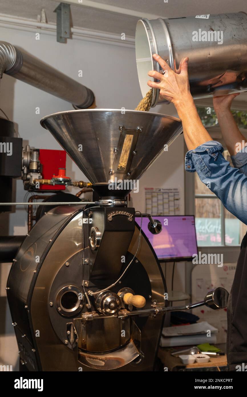 Il caffè verde viene versato nella torrefazione, nella torrefazione del caffè, nella torrefazione del caffè, nel Kaffeeroesterei Maassen, nel Dinkelsbuehl, Centrale Foto Stock