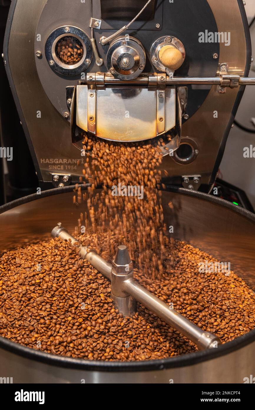 Il caffè arrosto viene versato dal tamburo di tostatura nel bollitore, nel processo di tostatura del caffè, nella macchina per la tostatura del caffè, nel Kaffeeroesterei Maassen Foto Stock