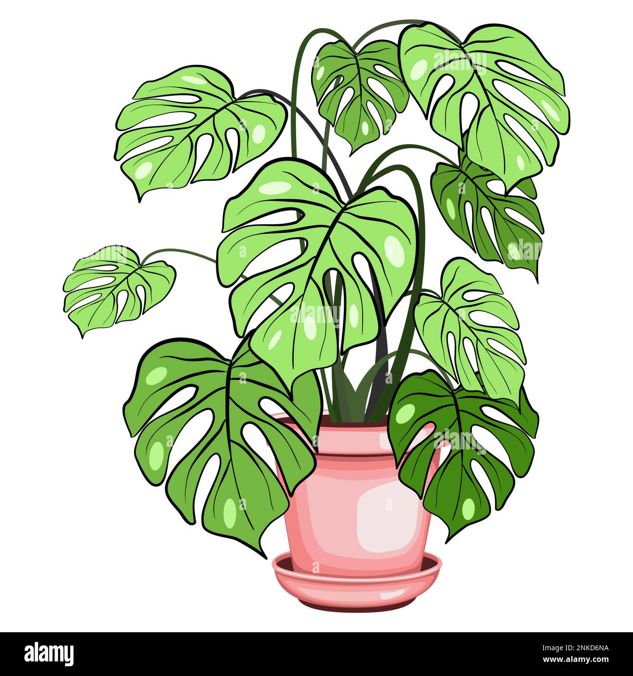 Pianta di Monstera nella illustrazione vettoriale della pentola ceramica Illustrazione Vettoriale