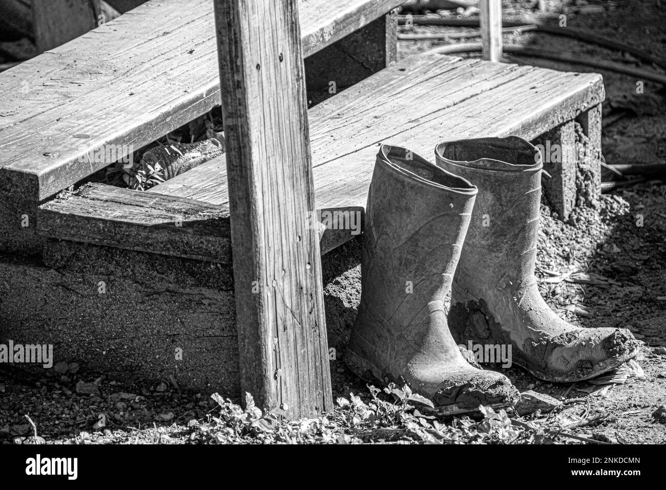 Un'immagine in bianco e nero di stivali da lavoro sporchi accanto a scale di legno, Roatan, Honduras. Foto Stock