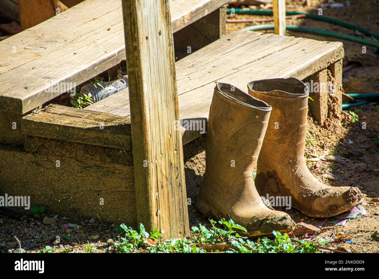 Un paio di barche da lavoro con scale di legno, Roatan, Honduras. Foto Stock