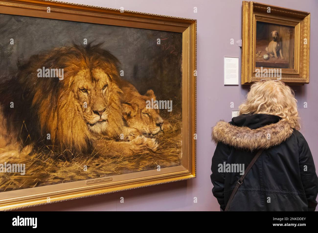 Inghilterra, Dorset, Bournemouth, Russell Cotes Art Gallery and Museum, visitatore della galleria di fronte alla pittura intitolata "riposo del leone britannico" datata 189 Foto Stock