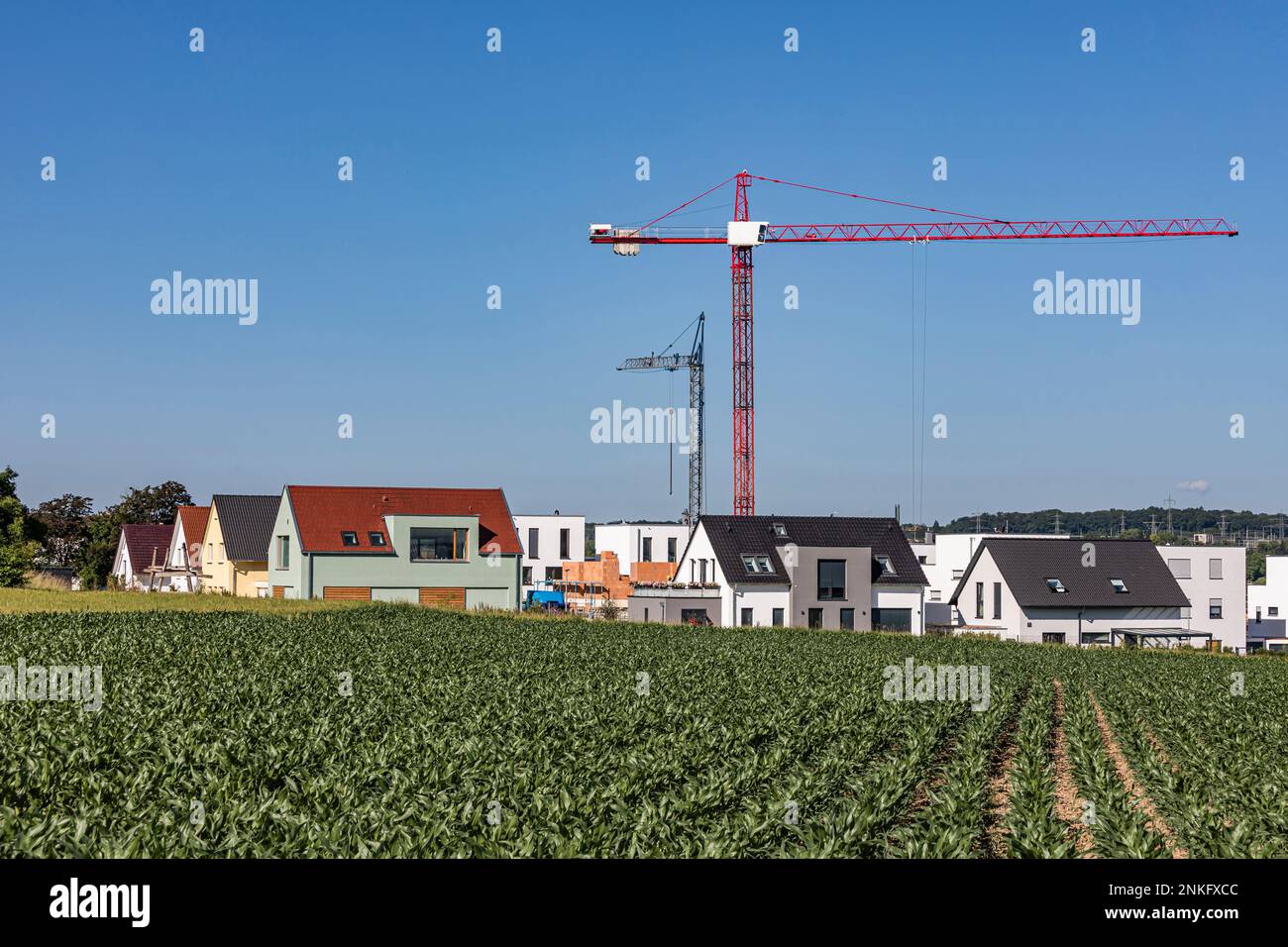 Germania, Baden-Wurttemberg, Ludwigsburg, campo di fronte a case suburbane con gru industriali in piedi sullo sfondo Foto Stock