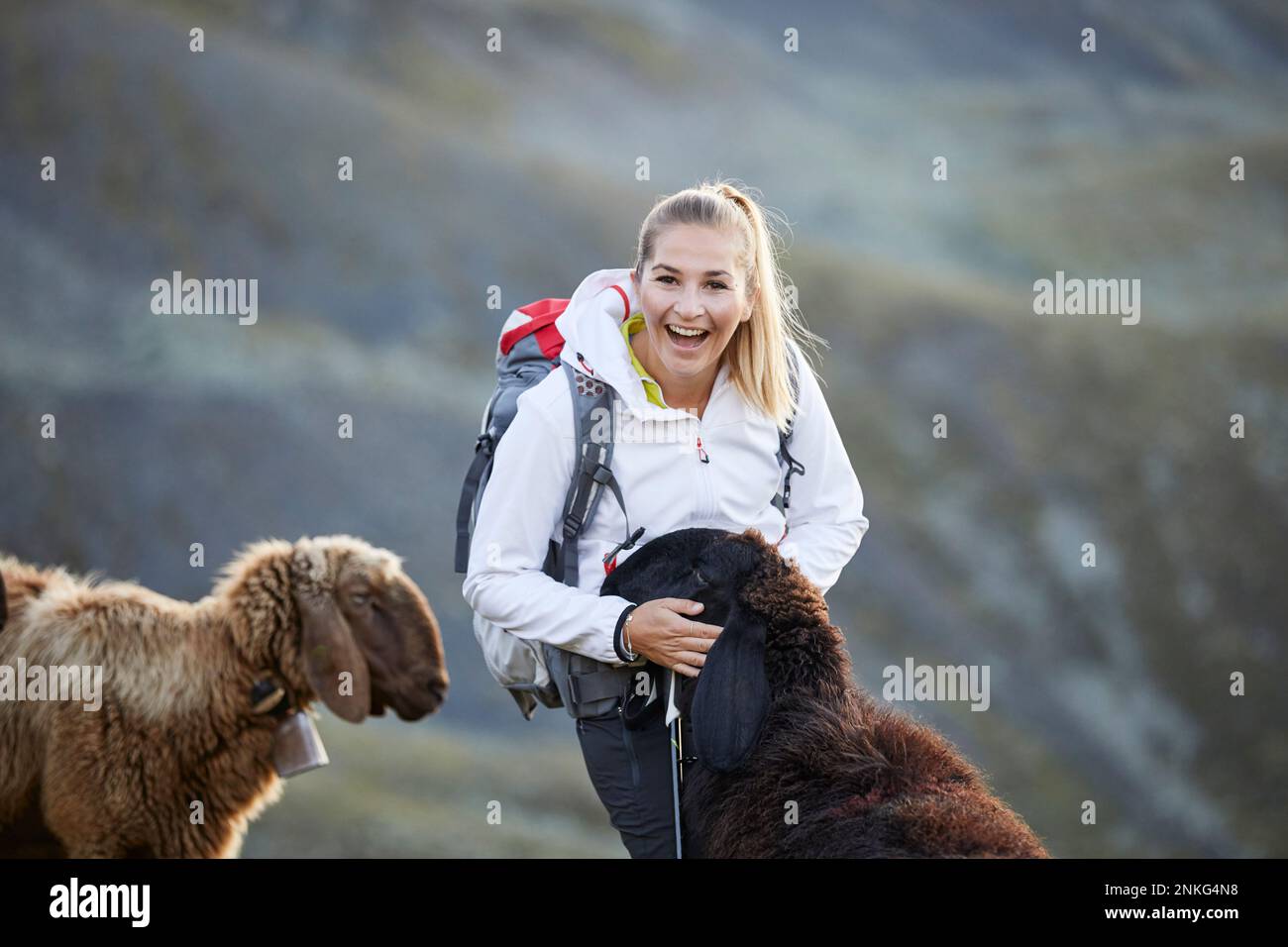 Austria, Tirolo, escursionista femminile sorridente mentre accarezzano capre da pascolo Foto Stock