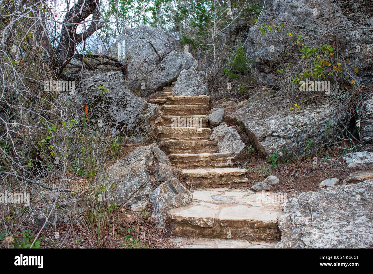 Il sentiero con scalinata in pietra conduce fino alla collina tra rocce geologiche e massi nel Pedernales Falls state Park come parte della Texas Hill Country. Foto Stock