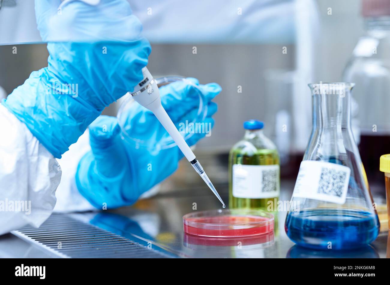 Primo piano del pipettaggio degli scienziati in un laboratorio microbiologico Foto Stock