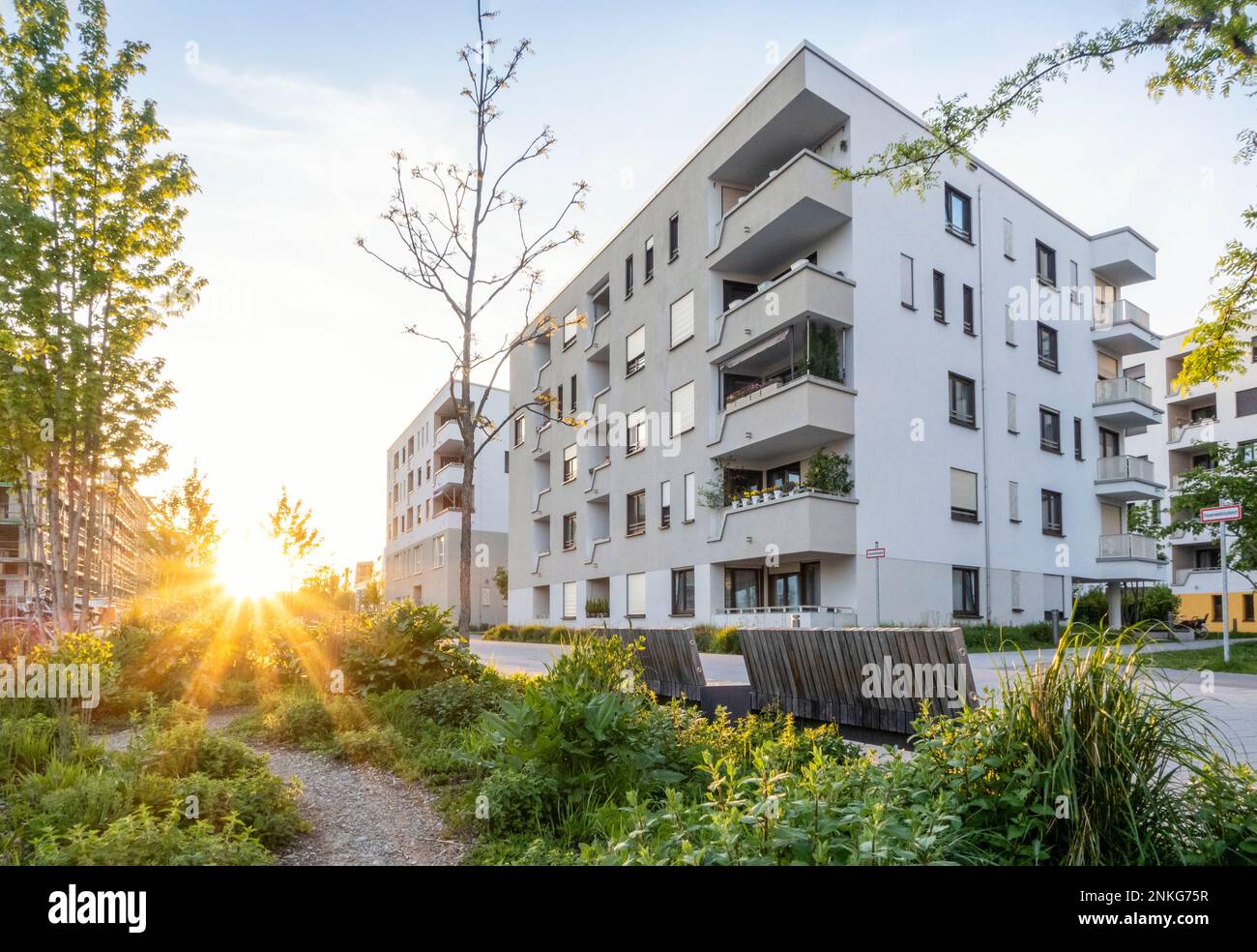 Germania, Baviera, Monaco, giardino residenziale di fronte a un moderno edificio di appartamenti al tramonto Foto Stock