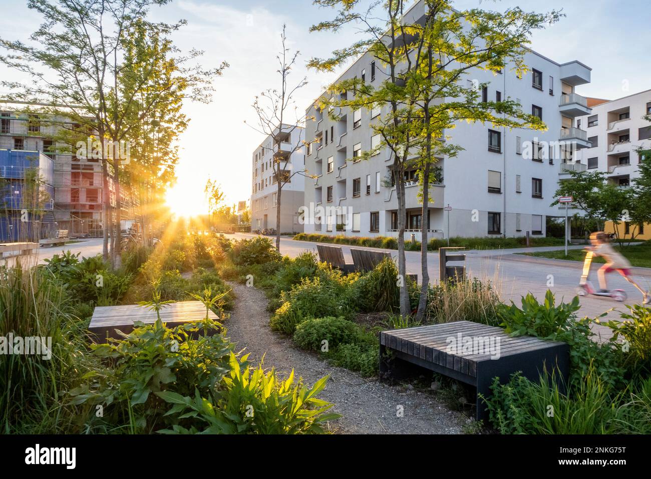 Germania, Baviera, Monaco, Panchine in giardino residenziale al tramonto Foto Stock