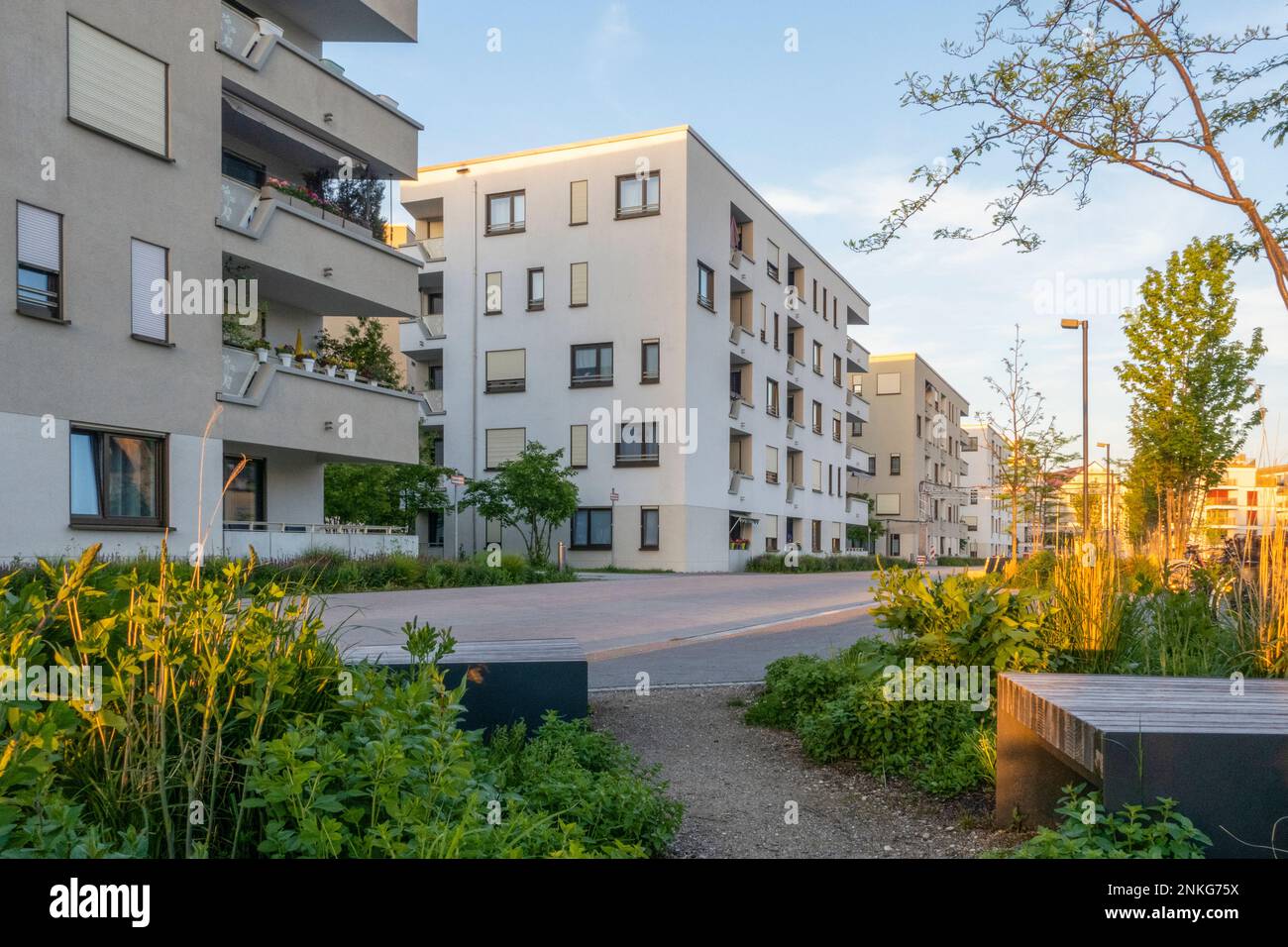 Germania, Baviera, Monaco, giardino residenziale e appartamenti circostanti al crepuscolo Foto Stock