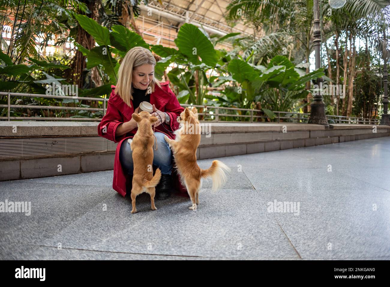 Donna matura felice con cani Chihuahua sul sentiero Foto Stock