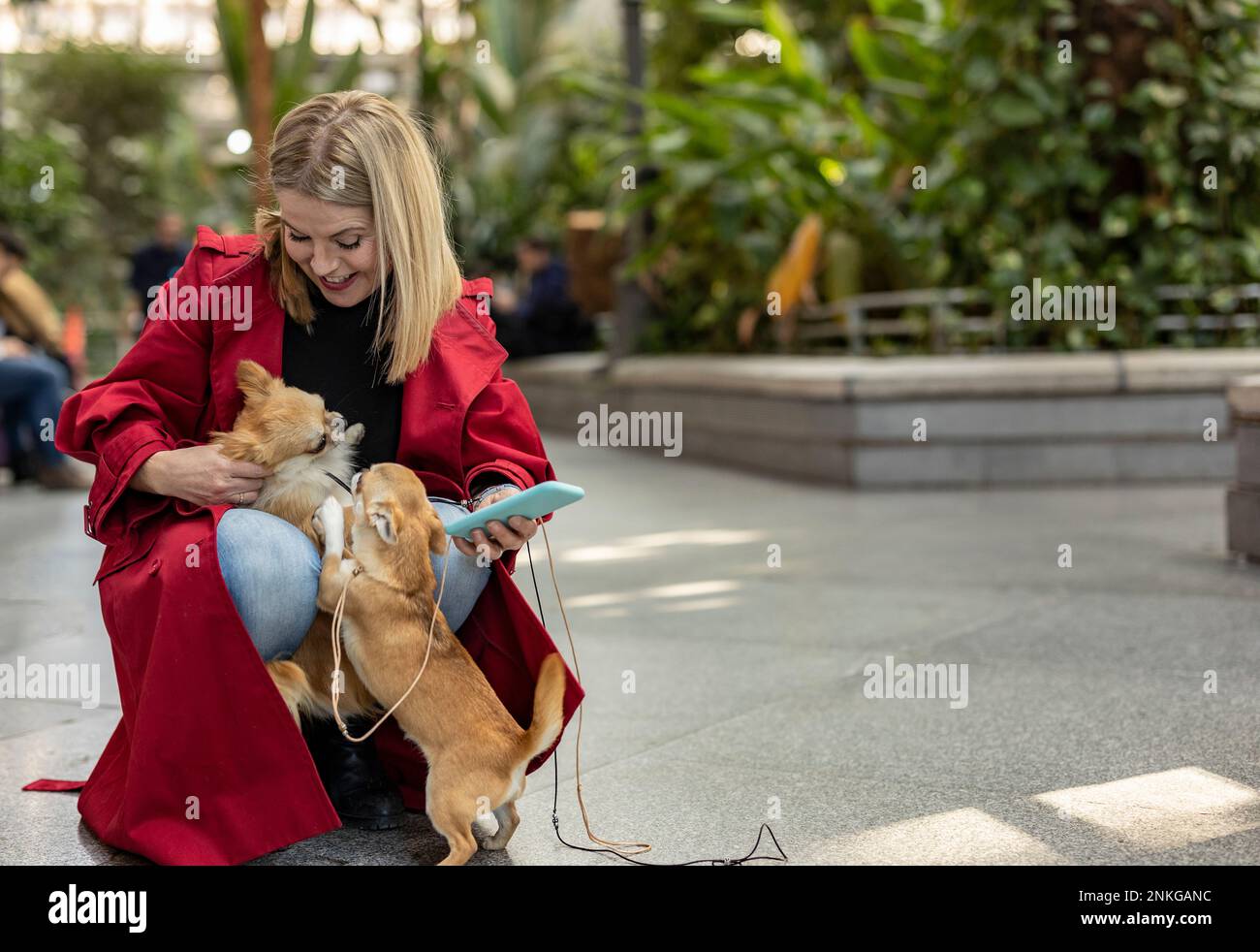 Donna matura felice con cani Chihuahua sul sentiero Foto Stock