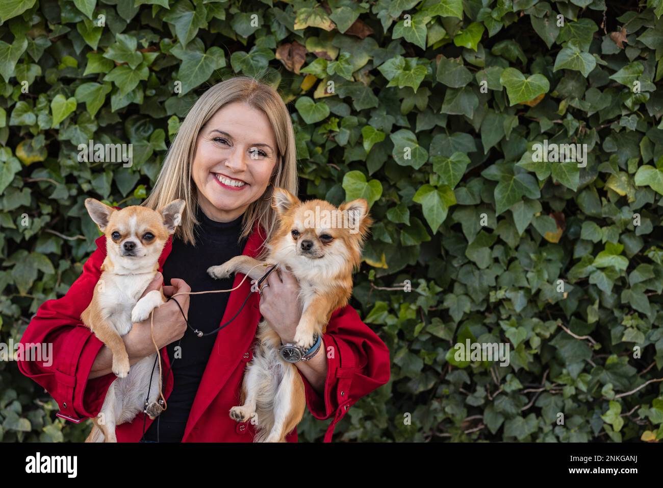 Donna matura allegra che trasporta i cuccioli di Chihuahua davanti alle piante Foto Stock