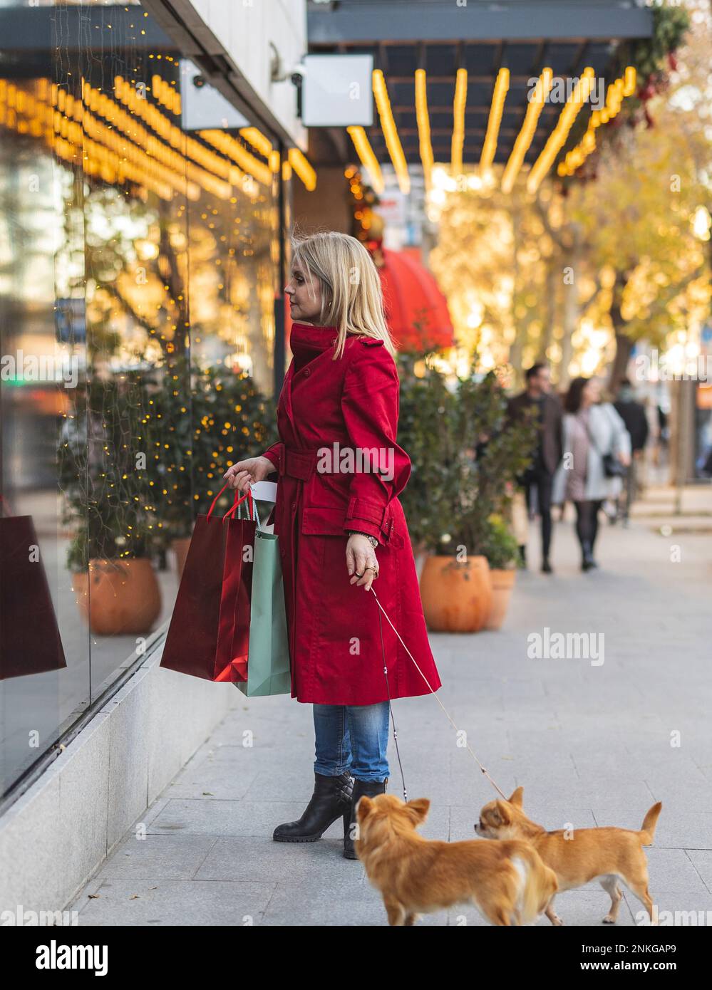 Donna che trasporta le borse di shopping in piedi con i cani di Chihuahua sul sentiero Foto Stock